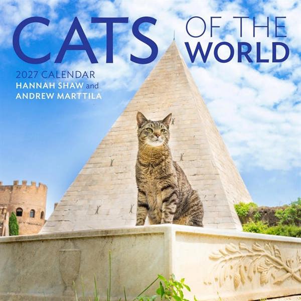 Cats of the World Calendar 2027, Wall Calendars, Month To View, Cats, Gift