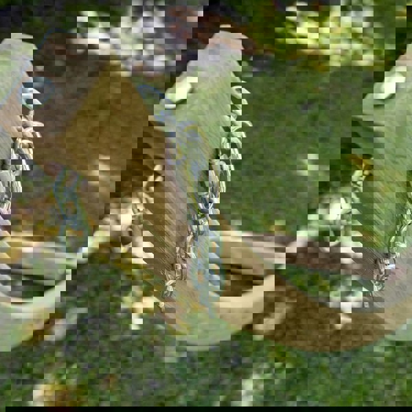 Amazonas Olymp Hammock Stand (L)