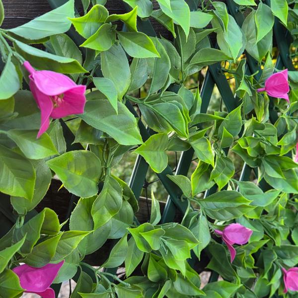 Premium Expanding Trellis Artificial Pink Bougainvillea - 1m x 2m