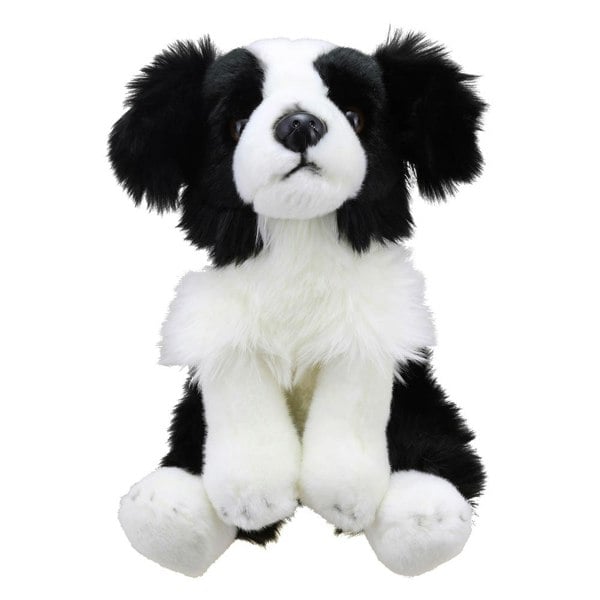 Wilberry Border Collie - Wilberry Favourites