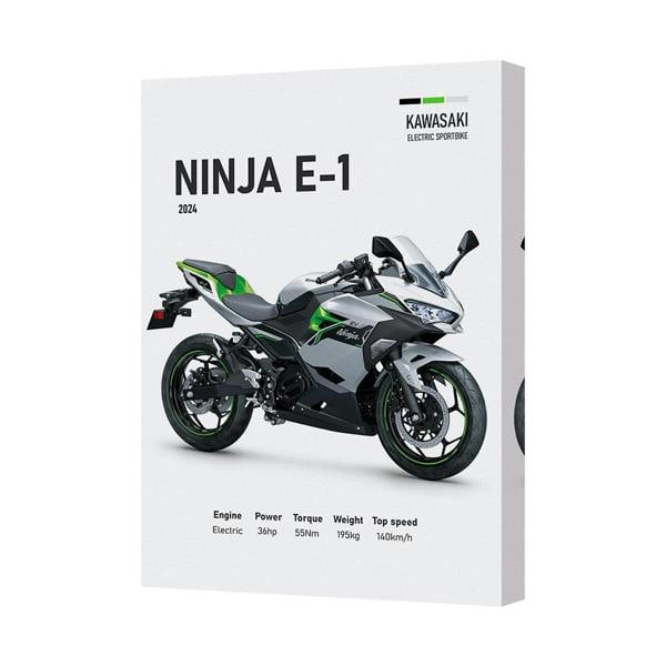 Benjamin Tate Design Ninja E1 Kawasaki Motorcycle Canvas Wall Art Print