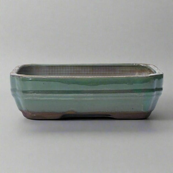 26cm Glazed Bonsai Pot | Oval | 26cm x 20cm x 6cm | Green - Yorkshire Bonsai