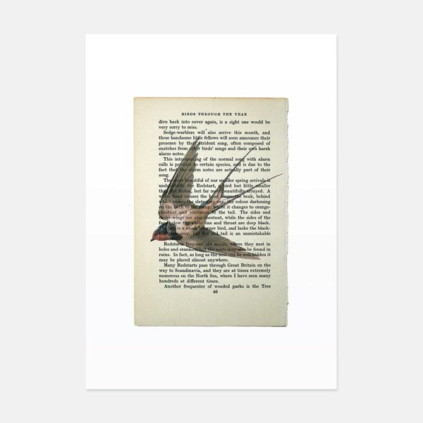 Hands & Hearts Swallow vintage book page art print