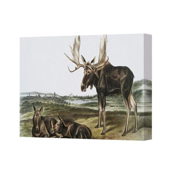 Benjamin Tate Design Moose Family Vintage Canvas Print Wildlife Landscape Wall Art