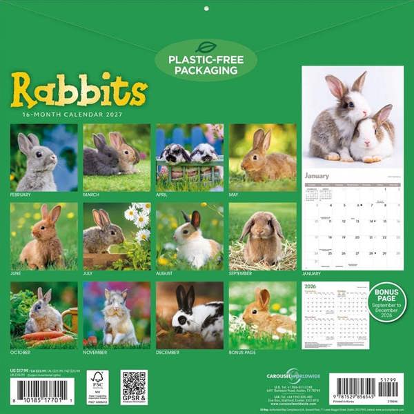 Rabbits Calendar 2027, Wall Calendars, Month To View, Animals, Gift