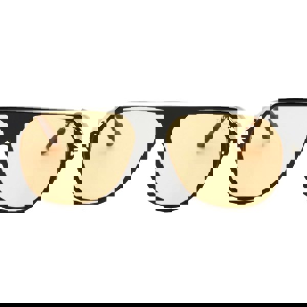 Tom Ford Hayes Brown Lens Shiny Black Sunglasses