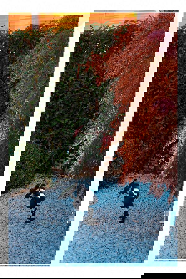 Luxform La Roche Solar LED Spot Light