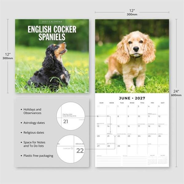 English Cocker Spaniels Calendar 2027, Wall Calendars, Month To View, Dogs, Gift