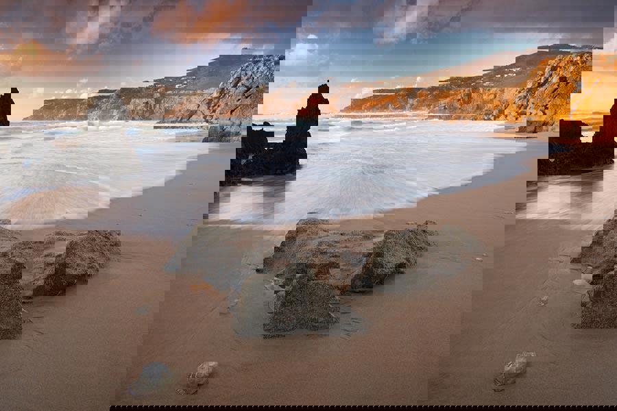 Fernlight Gallery Jellyfish