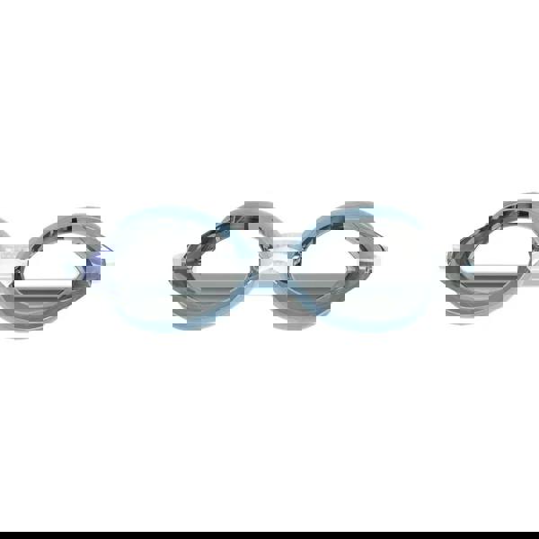 Speedo Vanquisher 3.0 Mirrored womens goggles with comfortable gasket