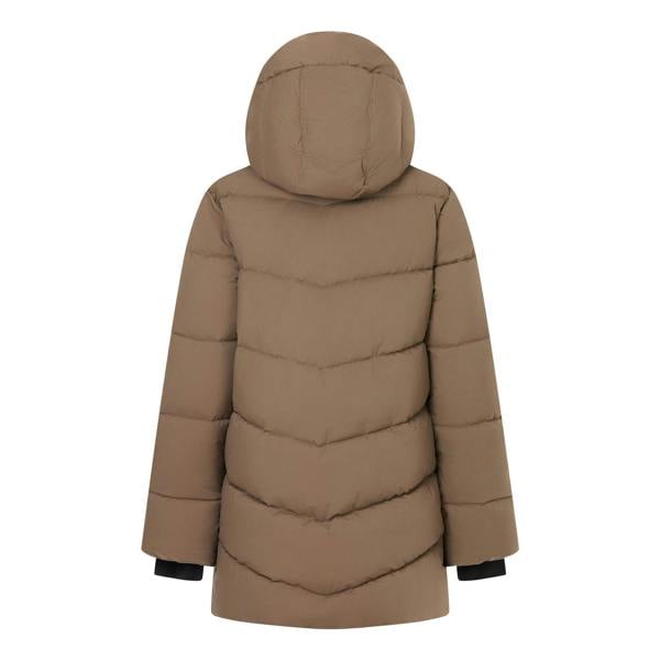 Regatta Womens/Ladies Faye Padded Jacket - Mocha