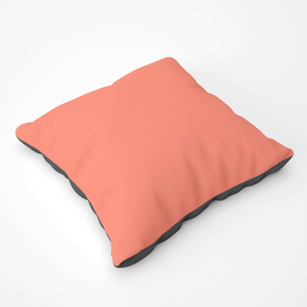 Warren Reed Faded Orange Floor Cushion