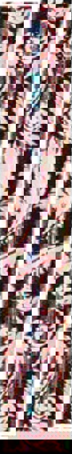 Aidapt Folding Walking Stick Femme