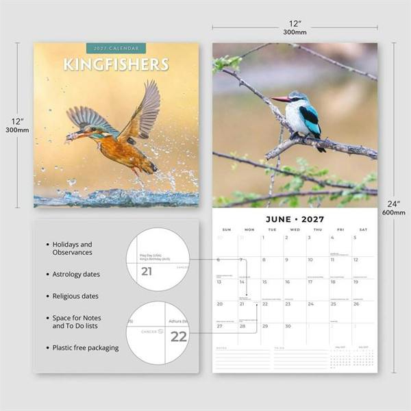 Kingfishers Calendar 2027, Wall Calendars, Month To View, Animals, Gift