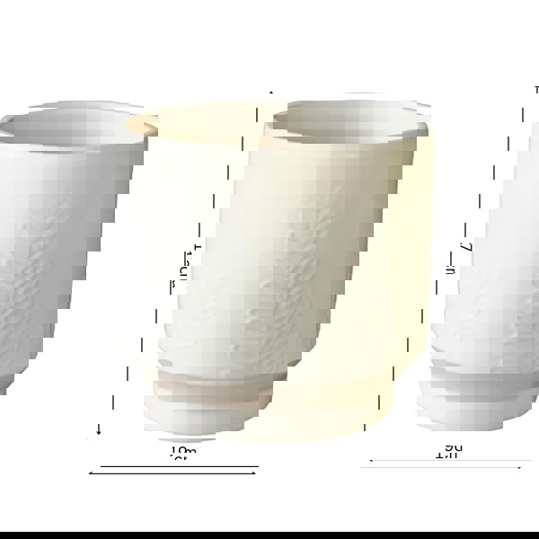 #color_ivory