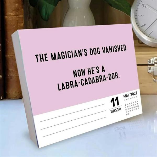 Pun Intended Desk Calendar 2027, Desk Calendars, Day To View, Humour, Gift