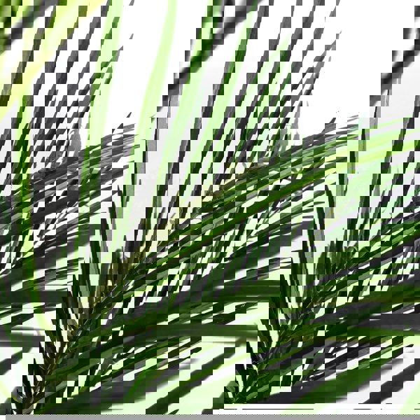 Leaf 150cm Areca Palm Natural Artificial Tree