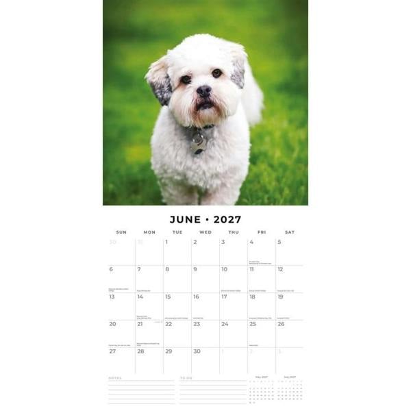 Lhasa Apsos Calendar 2027, Wall Calendars, Month To View, Dogs, Gift