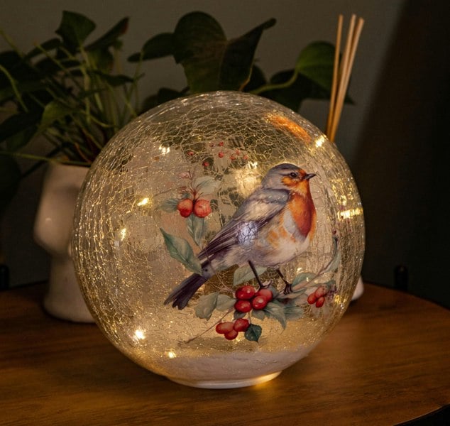 Samuel Alexander 20cm Battery Operated Light up Robin Crackle Glass Ball with 15 Warm White LEDs