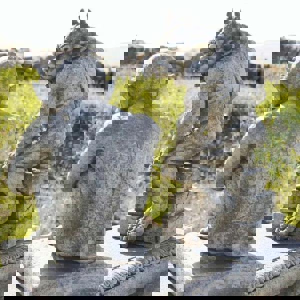 Guardian Gargoyle and Devil Ornaments