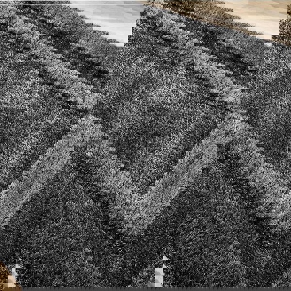 The Rugs Frame Shaggy Bordered Rug - Quality Comfort Style