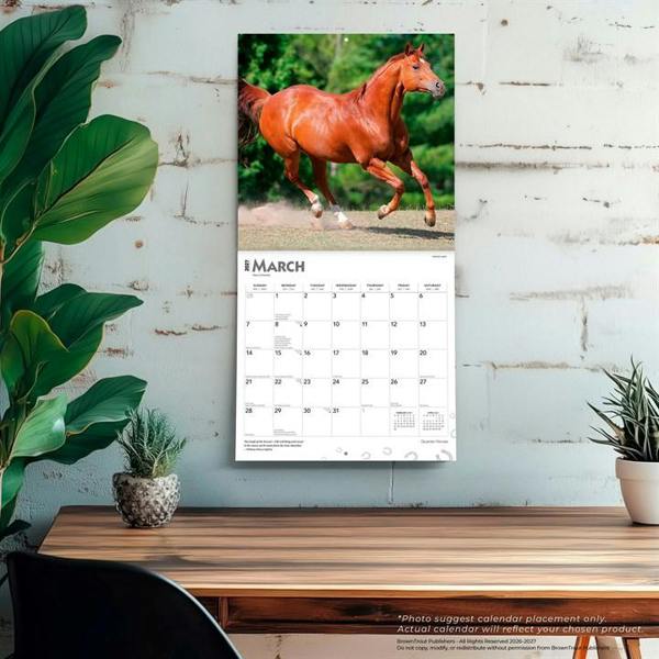 Quarter Horses Calendar 2027, Wall Calendars, Month To View, Animals, Gift