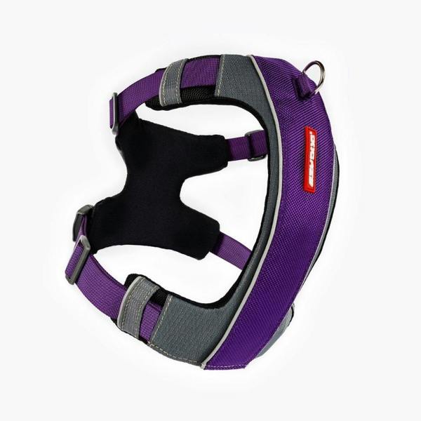 EzyDog X-Link Dog Harness in Purple