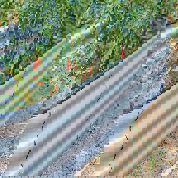 Gr8 Garden Garden Outdoor Raised Bed Planter Oval Galvanised Steel Trough Box 182x61x30cm