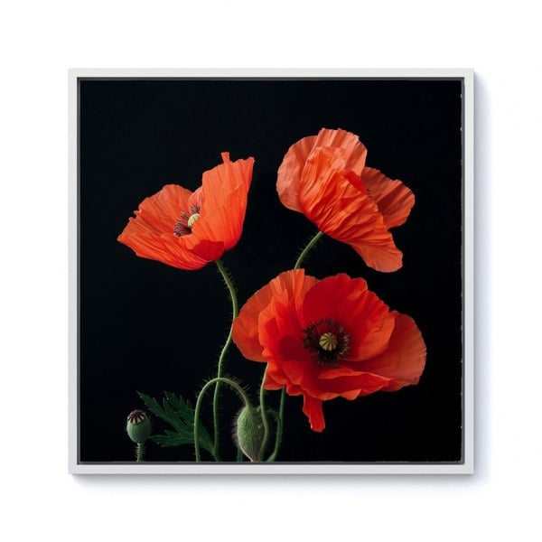 Warren Reed Poppies Framed Canvas