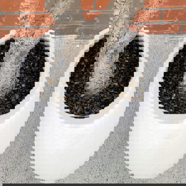 Leaf XXL Artificial Olive Tree 2.5m (250cm) Width: 160 cm With decorative planter