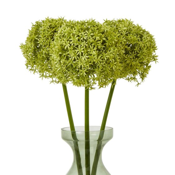 Wyld Haus Set of 3 Artificial Flowers Green Giant Allium Stems