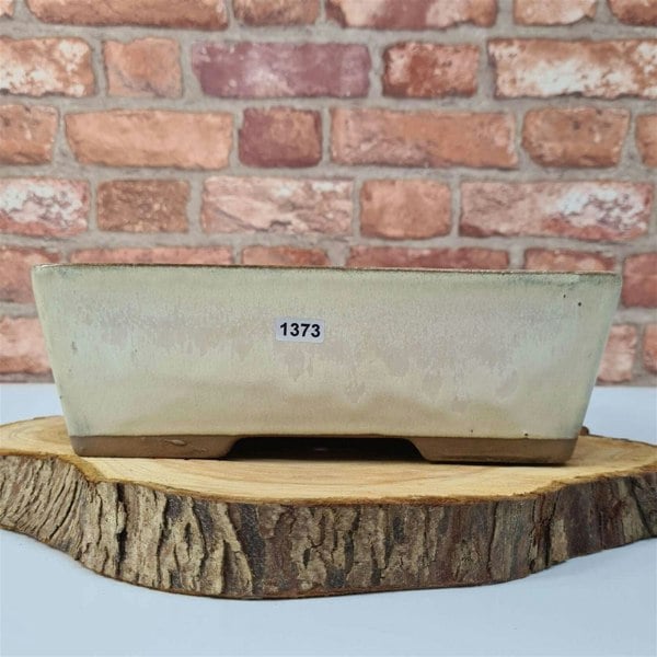 30cm Glazed Bonsai Pot | Rectangle | 30cm x 23cm x 9cm | White - Yorkshire Bonsai