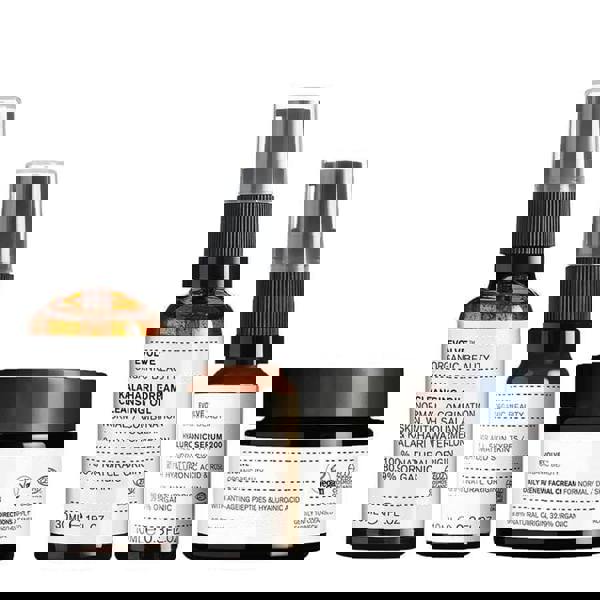 Evolve Beauty The Daily Dream 1 ea