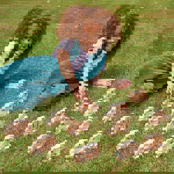 tickit Natural Wooden Vehicles Set