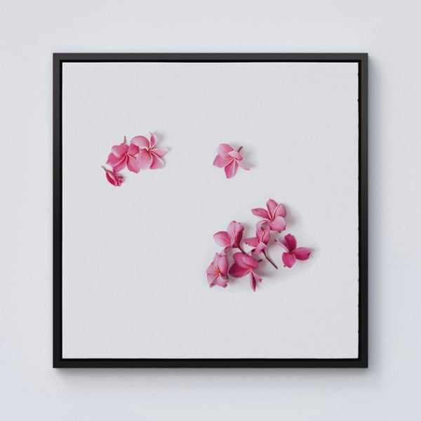 Warren Reed Pink Frangipani Flowers Framed Canvas