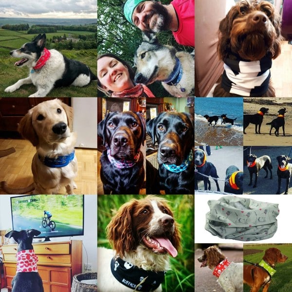 RUFFNEK® Reflective Dog Scarf Snood (Red) – keep your pet safe and visible during UK walks. #ReflectiveDogGear #UKPetAccessories #DogSafety #DogSnood #DogBandana
