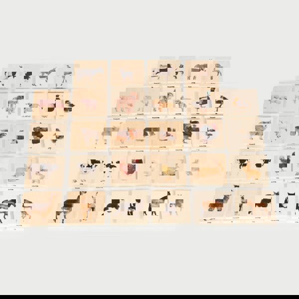 tickit Domestic Animal Family Match