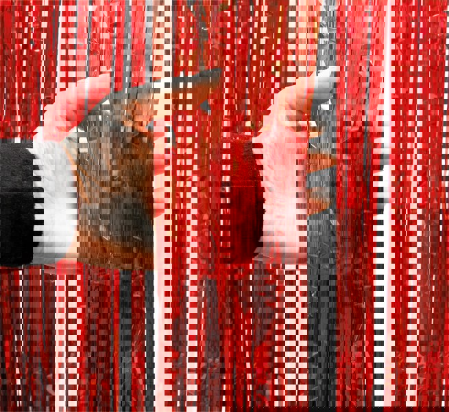 Cheetah Shimmer Tinsel Curtain, 2M x 1M Red