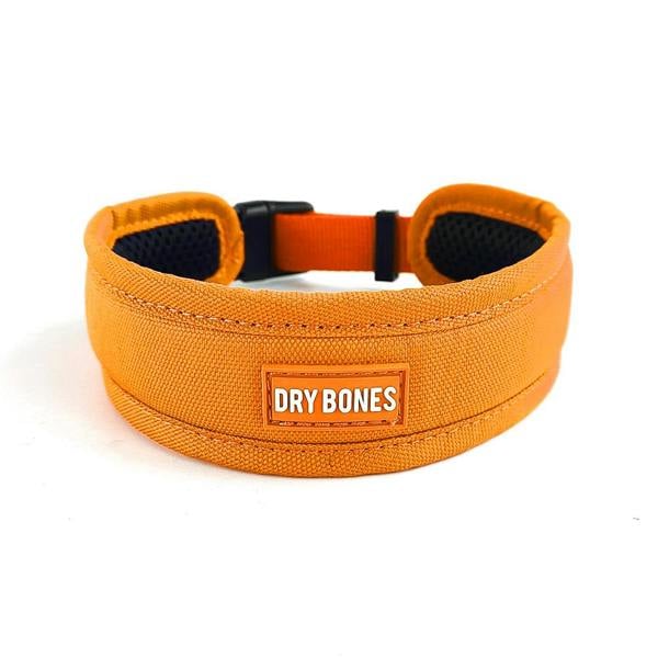DRYBONES Dog Collar