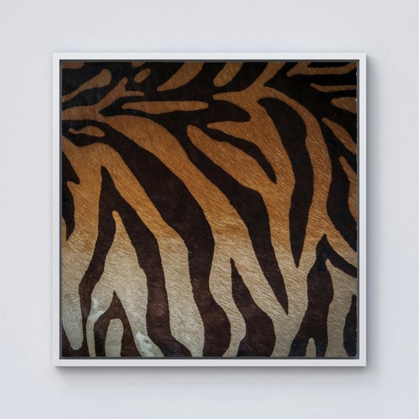 Warren Reed Tiger Skin Print Framed Canvas