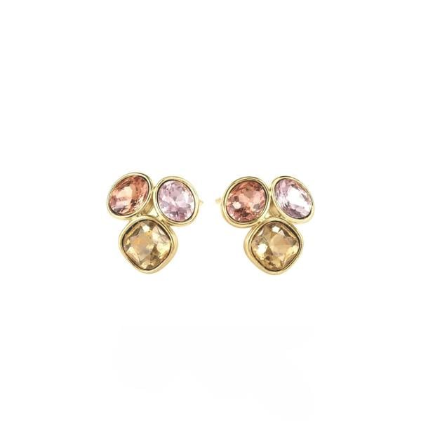 Ciel Luxe 18k Gold Plated Jewel Cluster Earrings Luxe Tones