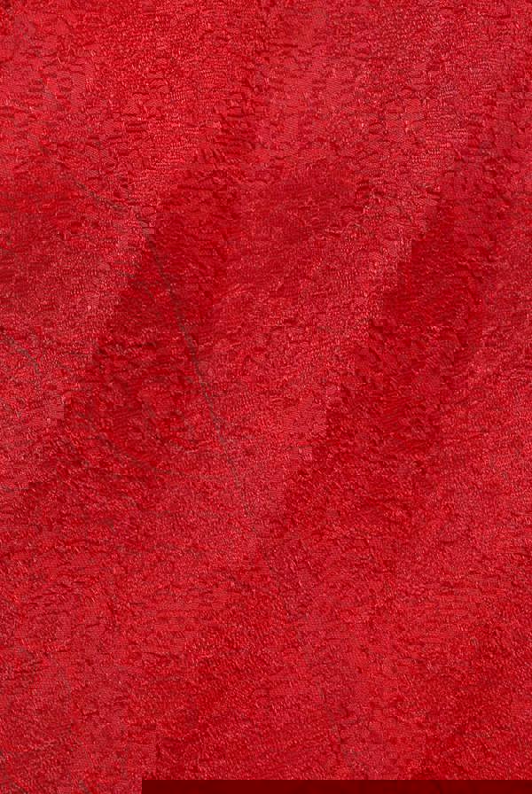 One Shoulder Organza  Fan Detail Lace Bodice Midi Dress - Red DR4607