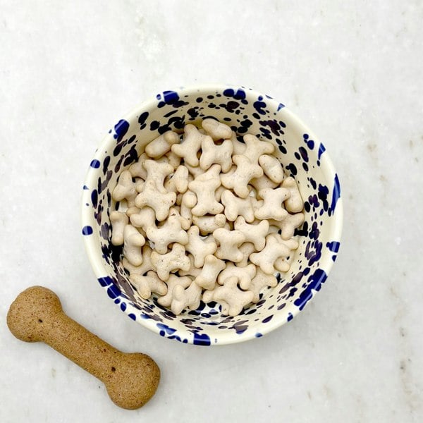 Hot Pottery Pet Bowl Blueberry
