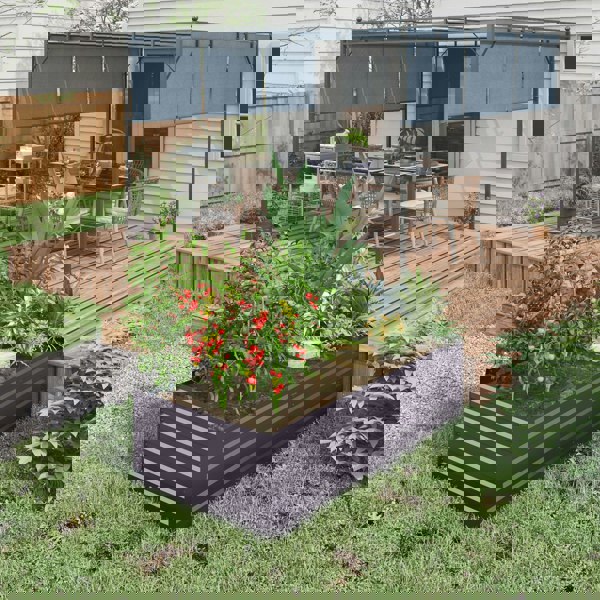 Garden Bed