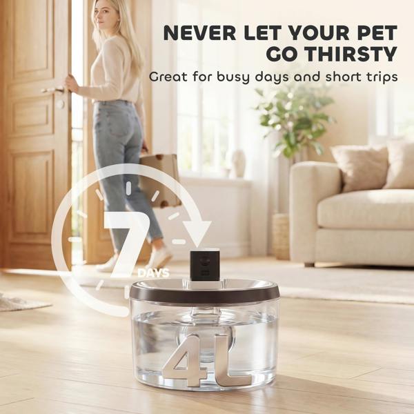 Pet Water Fountain