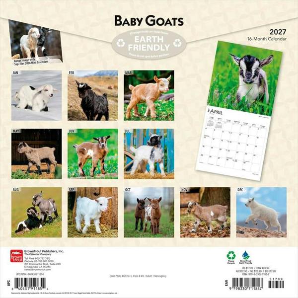 Baby Goats Calendar 2027, Wall Calendars, Month To View, Animals, Gift