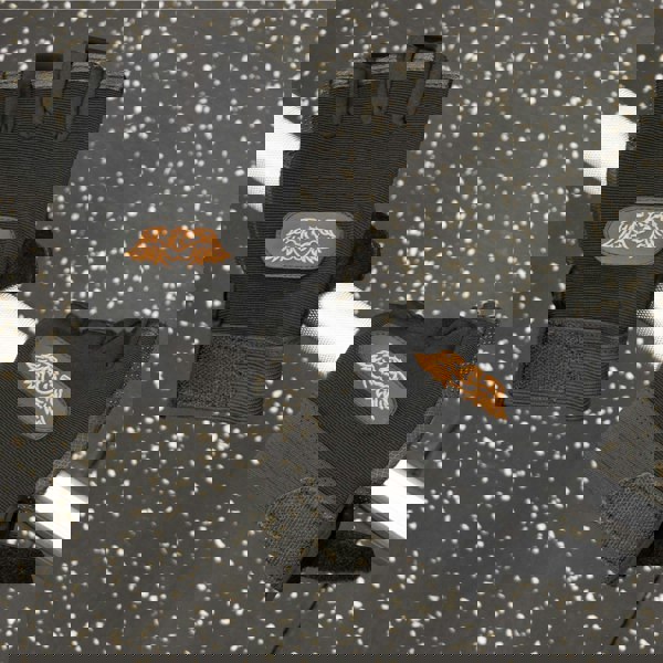 Phoenix Fitness Gym Workout Gloves for Weight Training