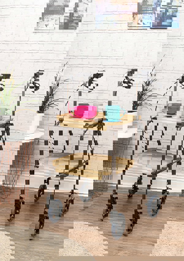 Aidapt Strolley Trolley Height Ad Brakes