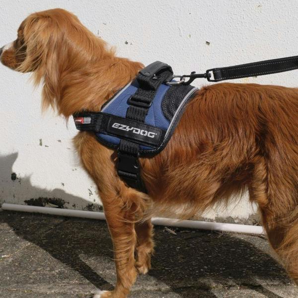 EzyDog Convert Harness in Red
