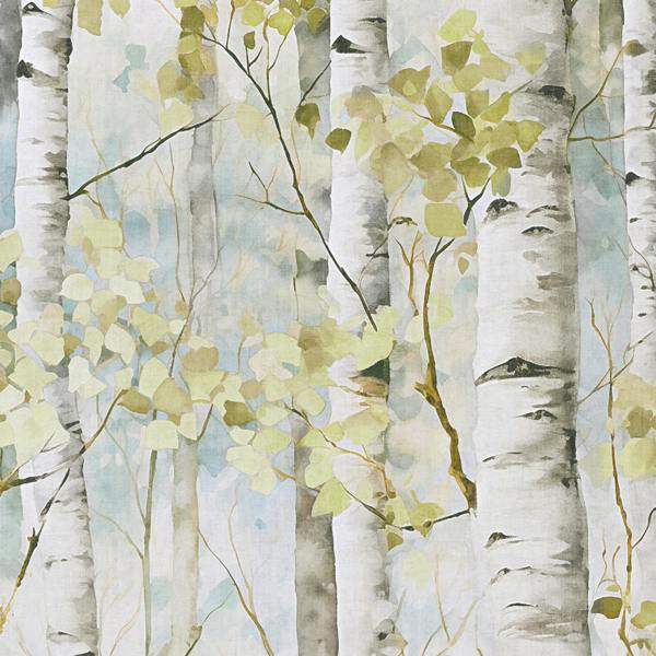 Grandeco Betula Silver Birch Trees Spring Forest 3 panel repeatable Mural 1.59 x 2.8m